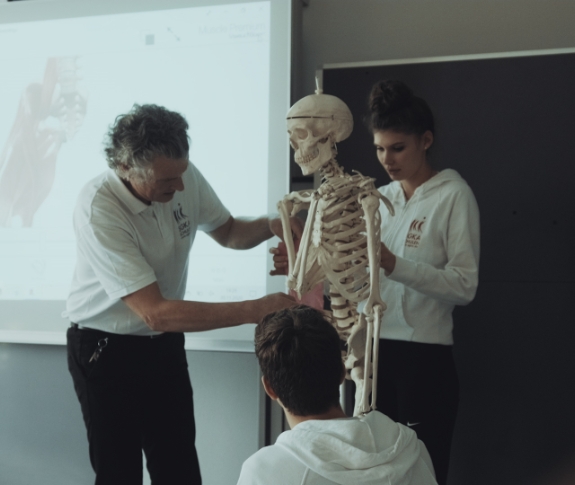 Ein Skelett im Unterricht bei der Ausbildung Physiotherapie.